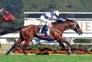 Passing Shot (NZ) scores impressive Lightning Handicap win. Photo Credit: Racing Images.